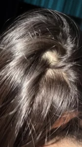 南宁小狗口活真好